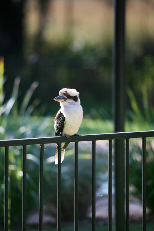 Port Stephens Koala Sanctuary 호텔 One Mile 외부 사진